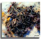 Tangkunst