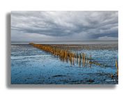 Vadehavet