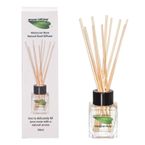Reed Diffusers and Refills