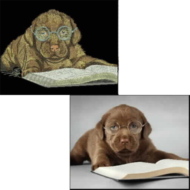 unser eBook
