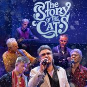 The Story of the Cats