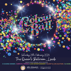 Colour Ball 13