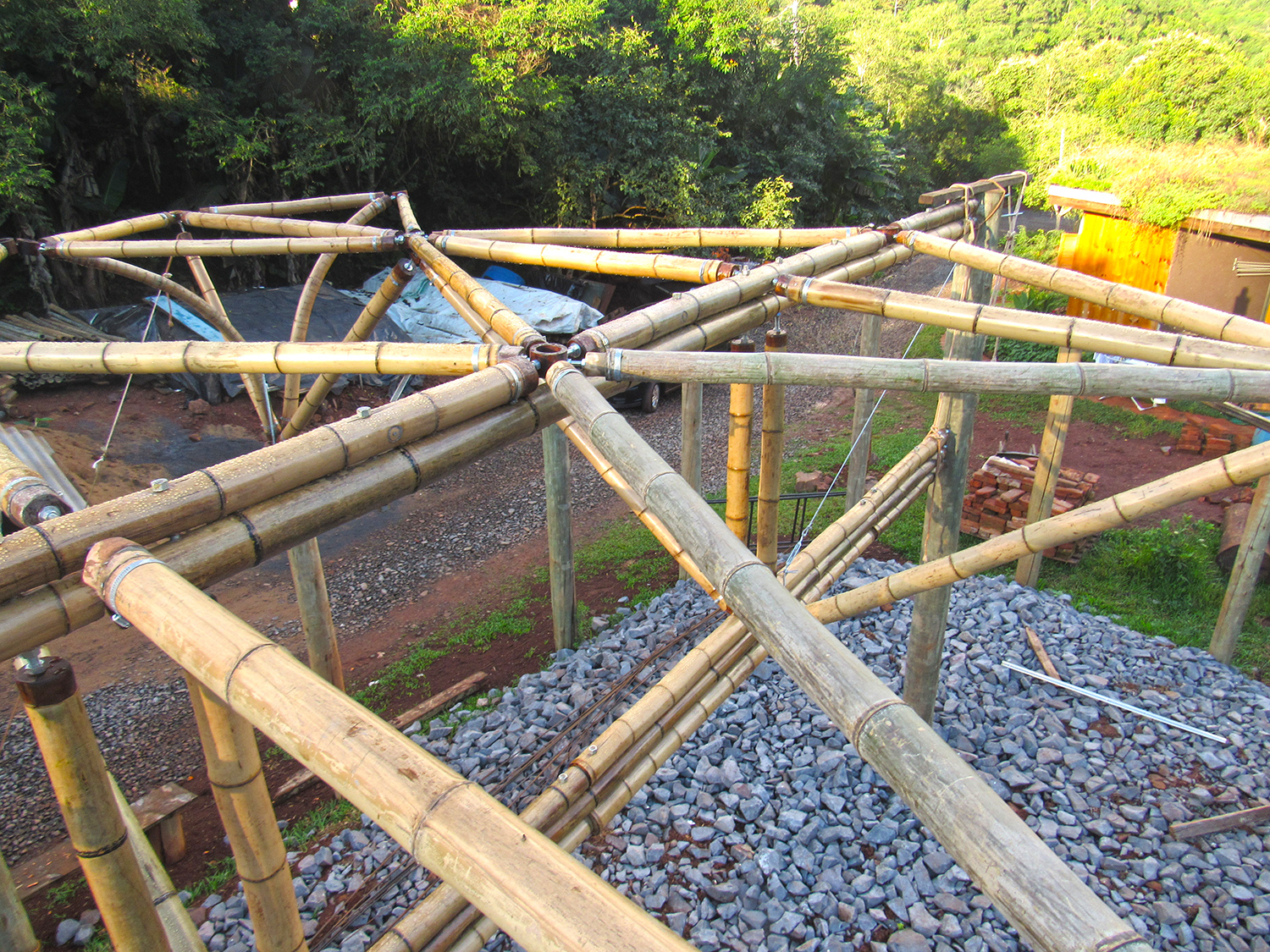 Bamboo Canopy - Guaporé, Brazil