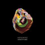 DOROTHY BIRD – METEORITES