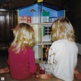 7EBRA – BIRD HOUR
