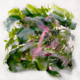 MIZU – FOREST SCENES