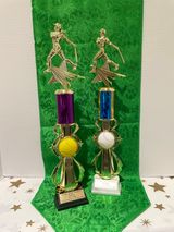 17 in All- Star Trophies