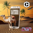 CYBREX - Echo System (Deep & Groove Records)