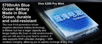Vivo X200 Pro Mini