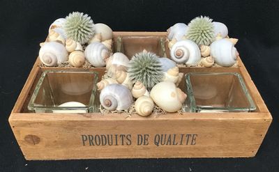 Houten bakje met schelpen en kaarsen