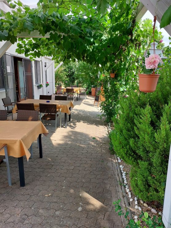 Terrasse 7