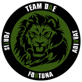 TeamDAE