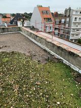 IMG_0902