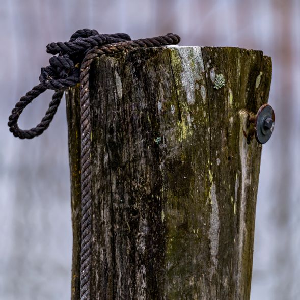 TIED UP