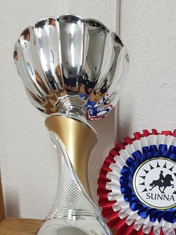 Beste 1 års hingst 2017 Sunna
