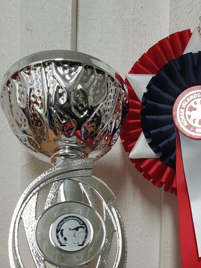 Beste 2-års hingst 2018, Vestnes