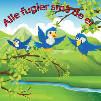 birds (1)