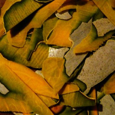 courges
