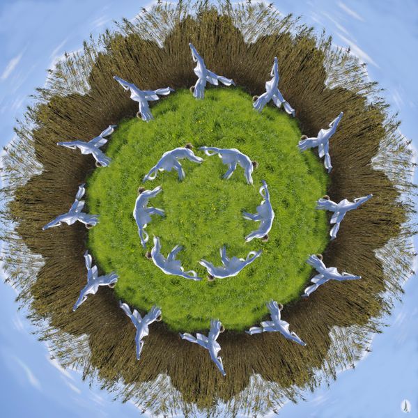 rond hug 4