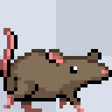 Mouse_walk