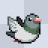 Pigeon