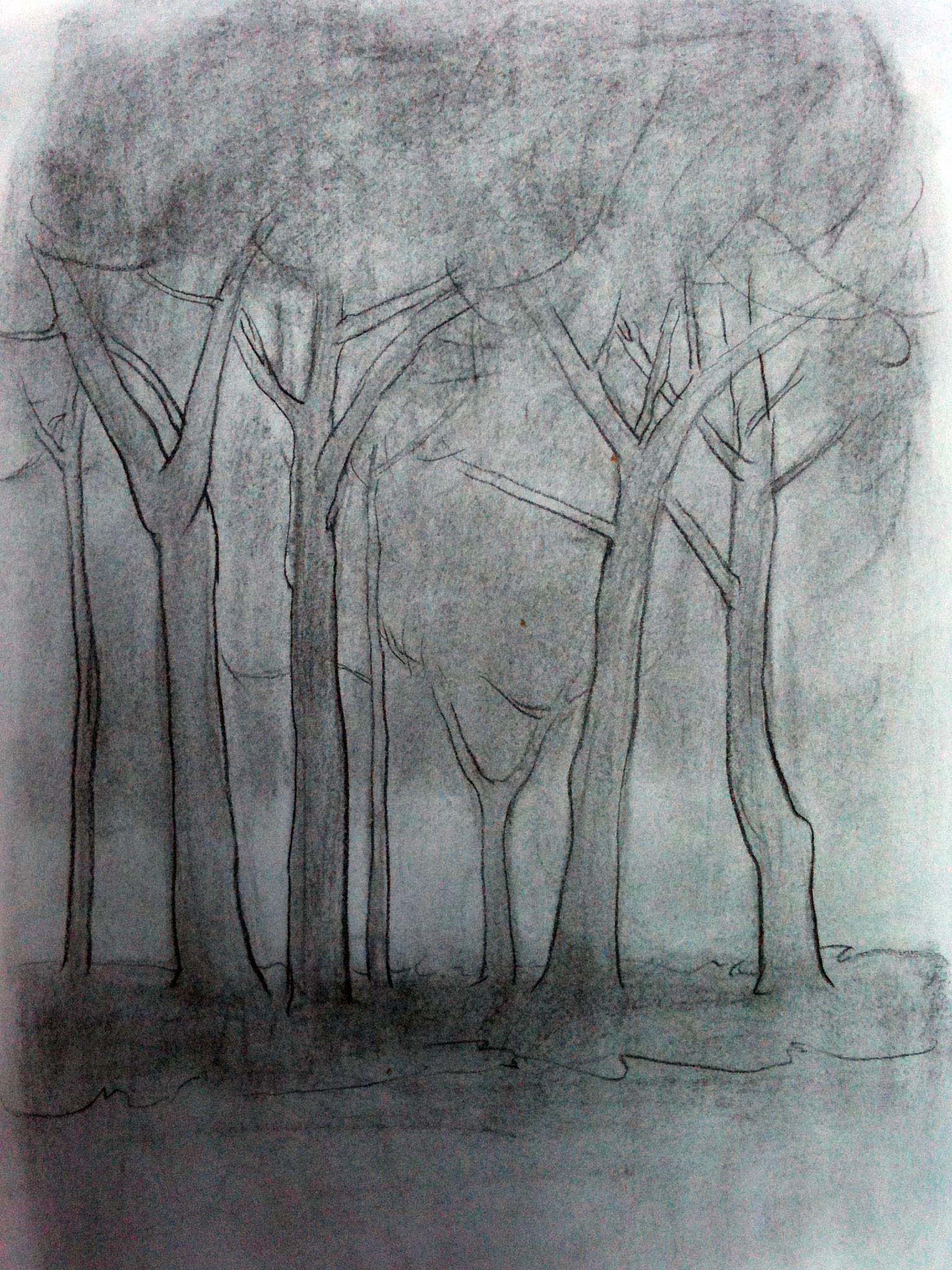 IMG_0032
