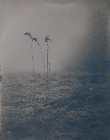 Dimma vid Oljeberget