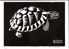 tartaruga