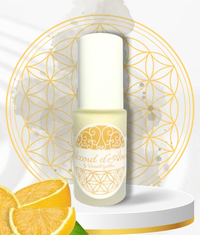 achetez le lait visage accord d'ames en boutique chez Celestine 2 rue du Bouc 67500 HAGUENAU