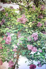 Lilas - 140x90