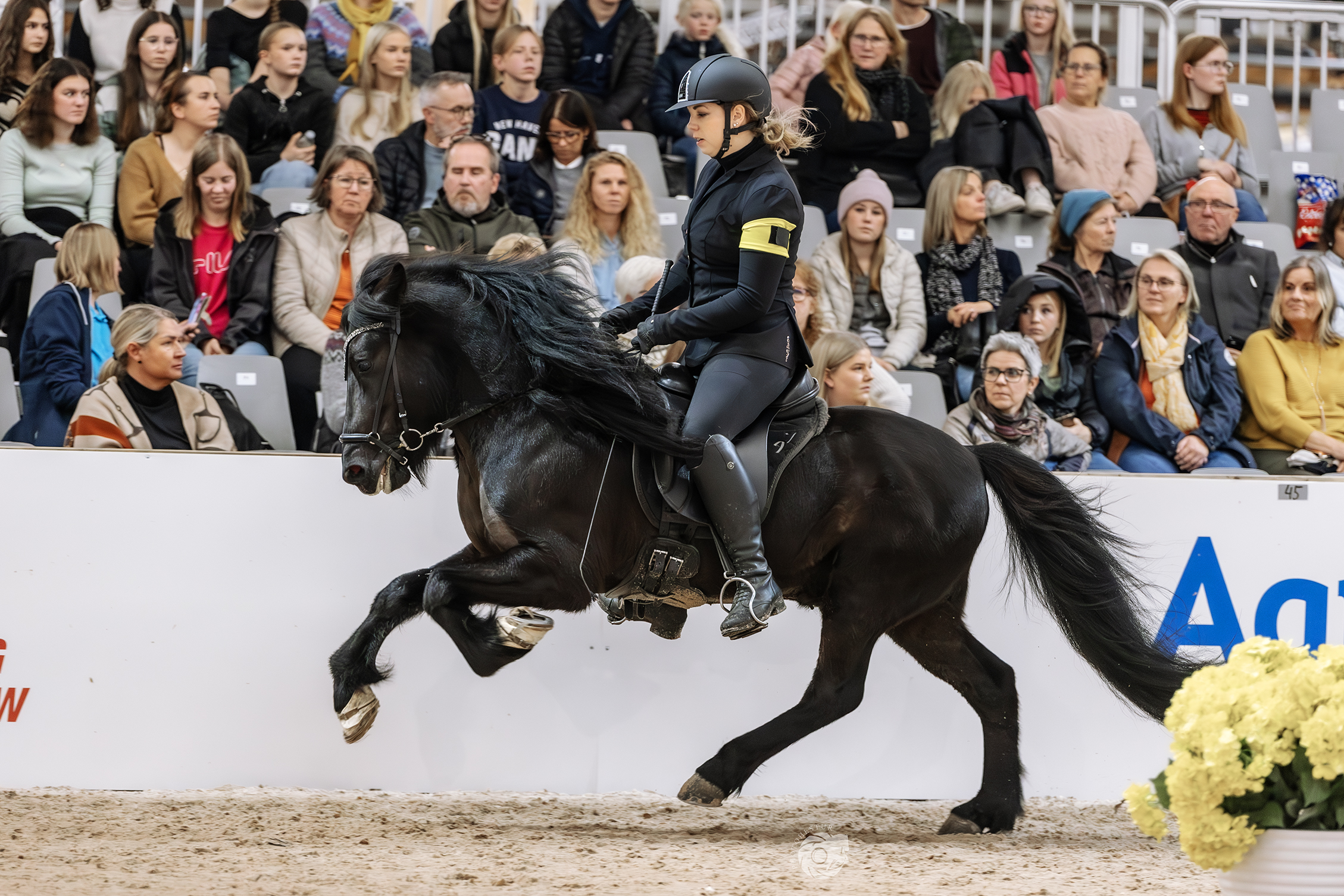 kolbeinn galopp
