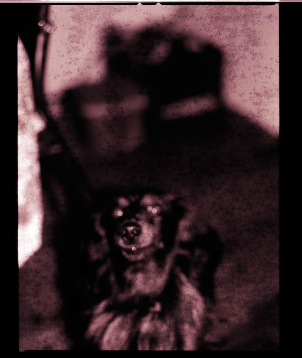 Untitled (3) (2)