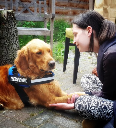 TopDog introductieafbeelding TopDog introductieafbeelding