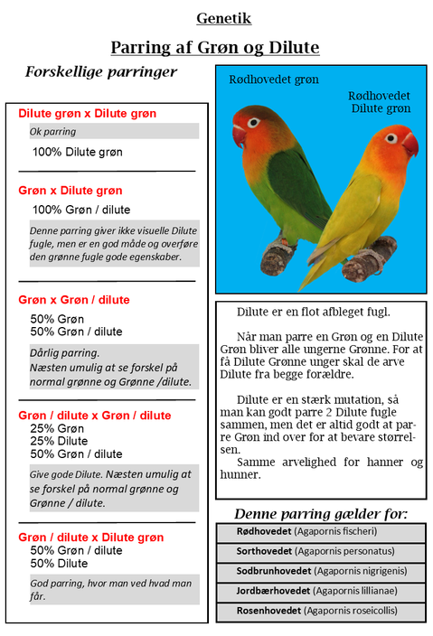 Dilute Grøn
