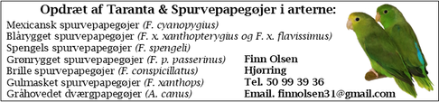 Opdræts annonce