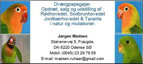 Opdræts annonce