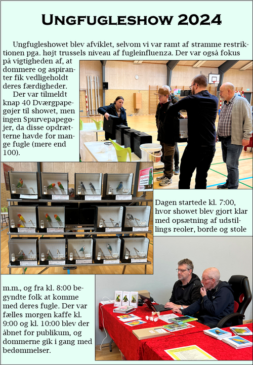 Ungfugleshow 2024