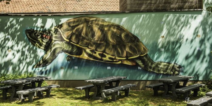 AZ  Michel Theysstraat
