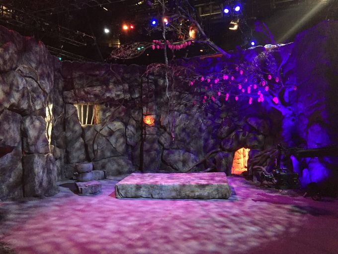 The Symian tree chamber - preparation for a bungee challenge 
