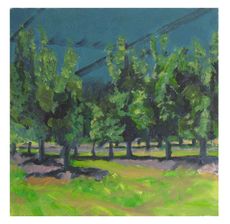 orchard 5
