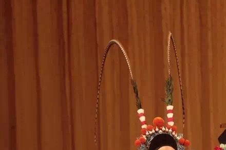 National First Class Violinist Chen Pingyi and DCBBO Performers 京胡名家陈平一与京剧之花