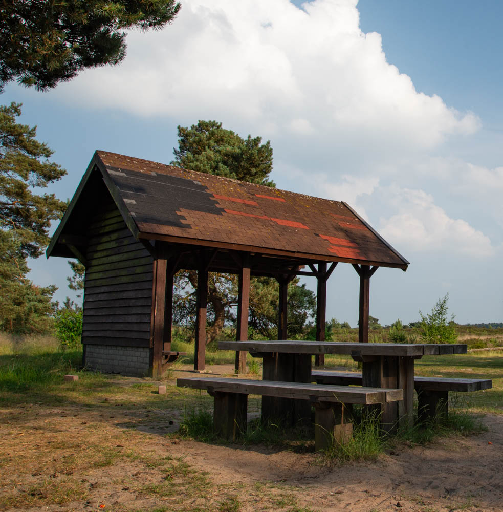 DSC_1887___serialized1