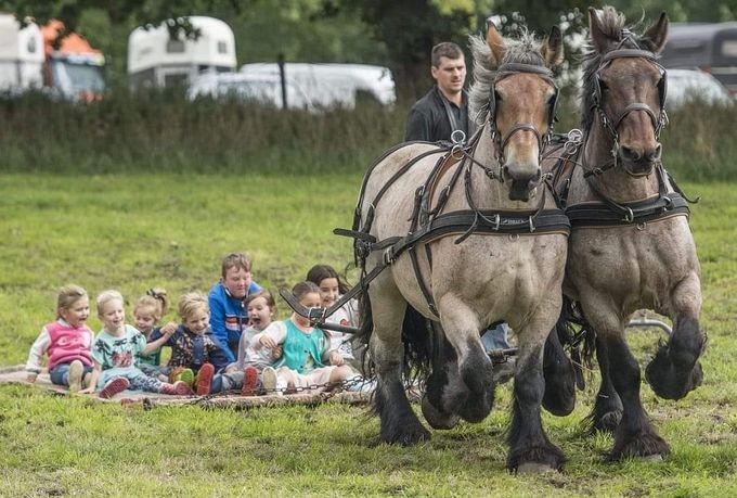 Stal De Westdijk is ook aanwezig met 2 trekpaarden en het 