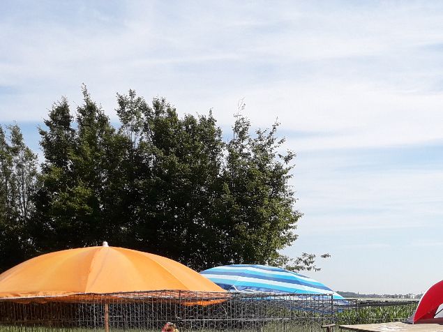 Boven de hokken van de kippen met kuikens maar een afdak gemaakt.
Anders eten we vanavond gebraden kip. 😂