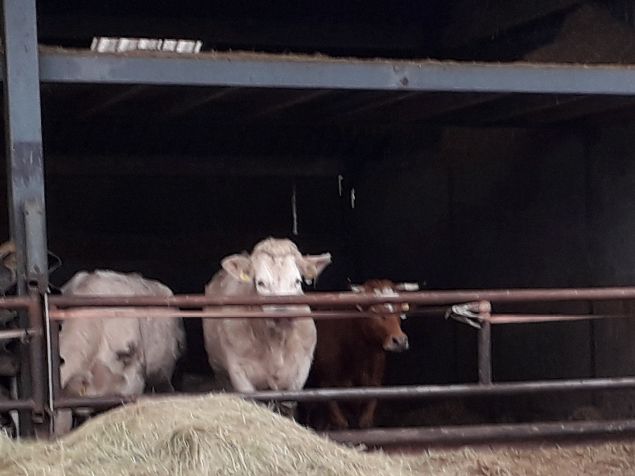 Wat klopt hier niet? 