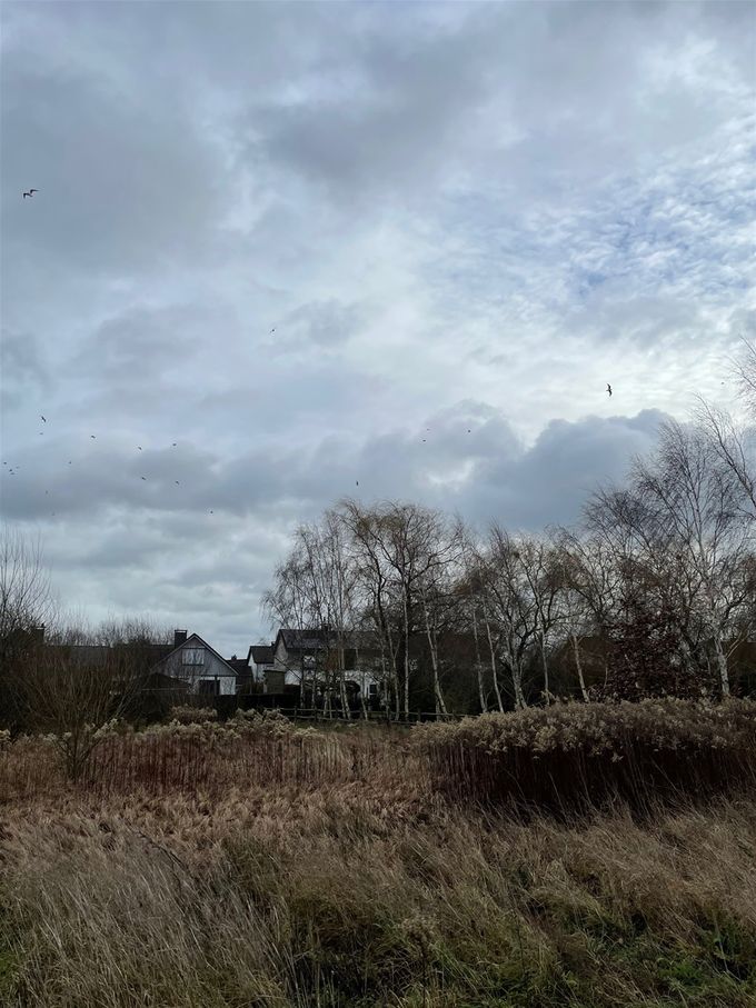 Prachtige wolken  -  21 januari 2021
