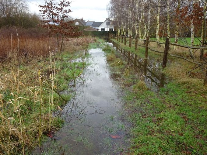 Toekomstige wandelweg is even weg...  -  3 februari 2021