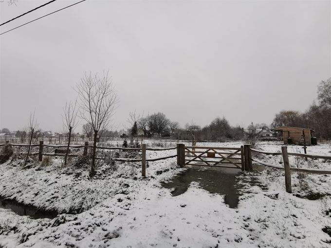't Ebroekske in het wit  -  7 februari 2021