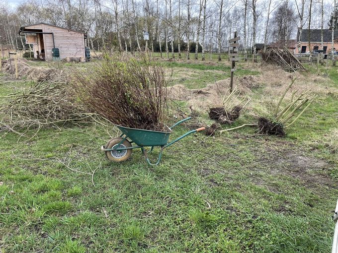 Planten uit de tuin worden herplant  -  15 maart 2021