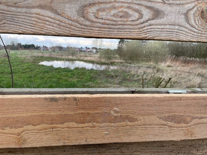 Zicht vanachter de vogelkijkwand  -  25 maart 202